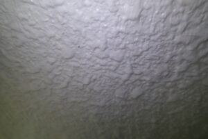 通常の状態(剥離剤塗布前)