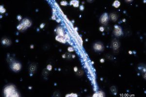 slide0028_image143 slide0028_image143